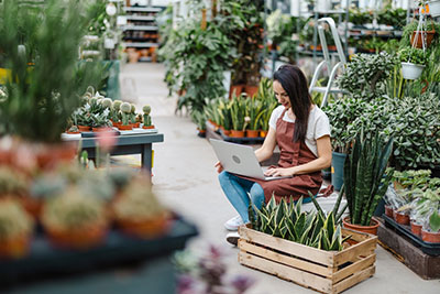 Image of lady in a garden centre, sat using a laptop surrounded by plants - How garden centres can successfully cater to last minute gift buyers