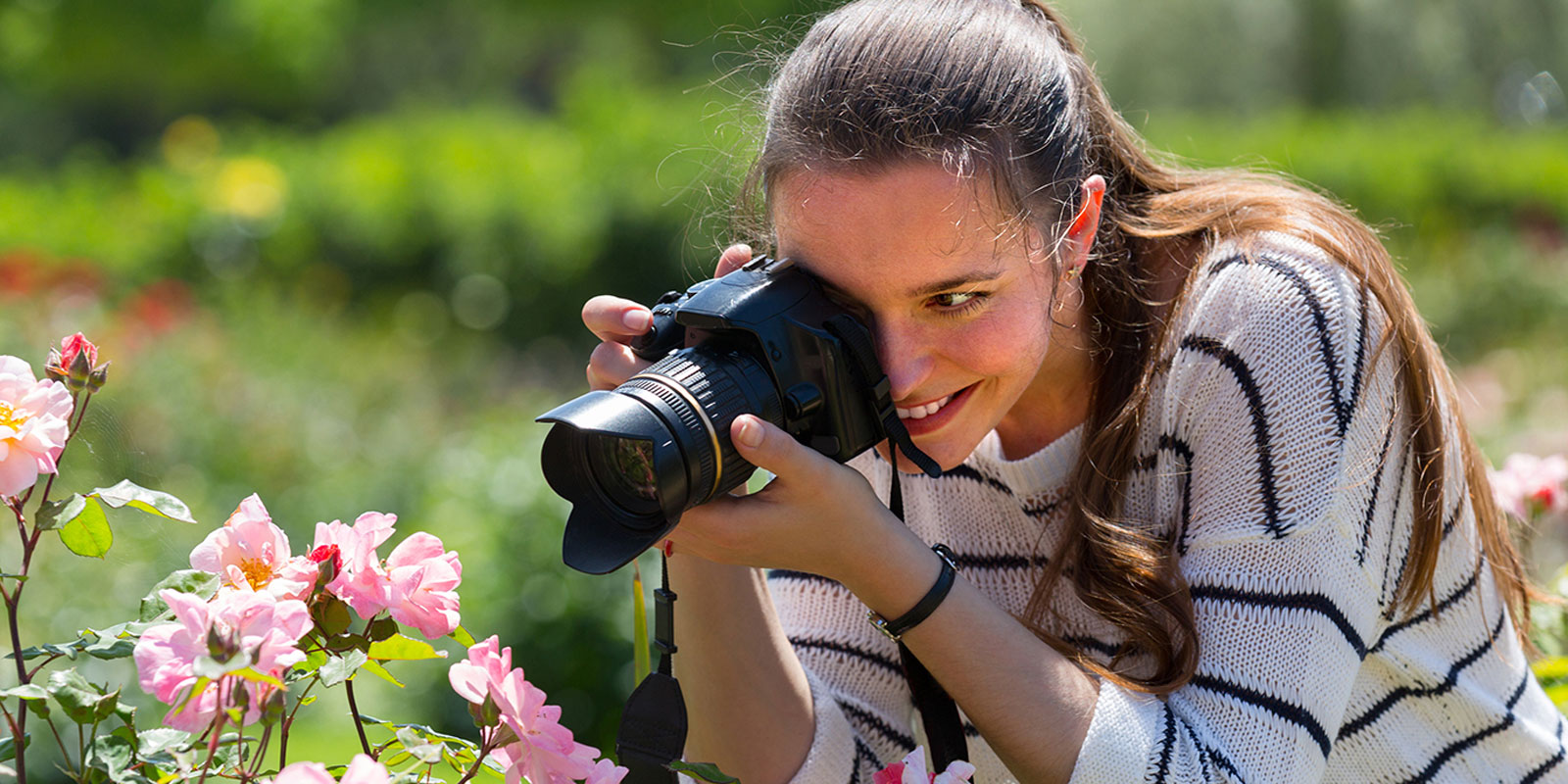 Haskins encourages gardeners to share photos of their best rose on social media Haskins encourages gardeners to share photos of their best rose on social media