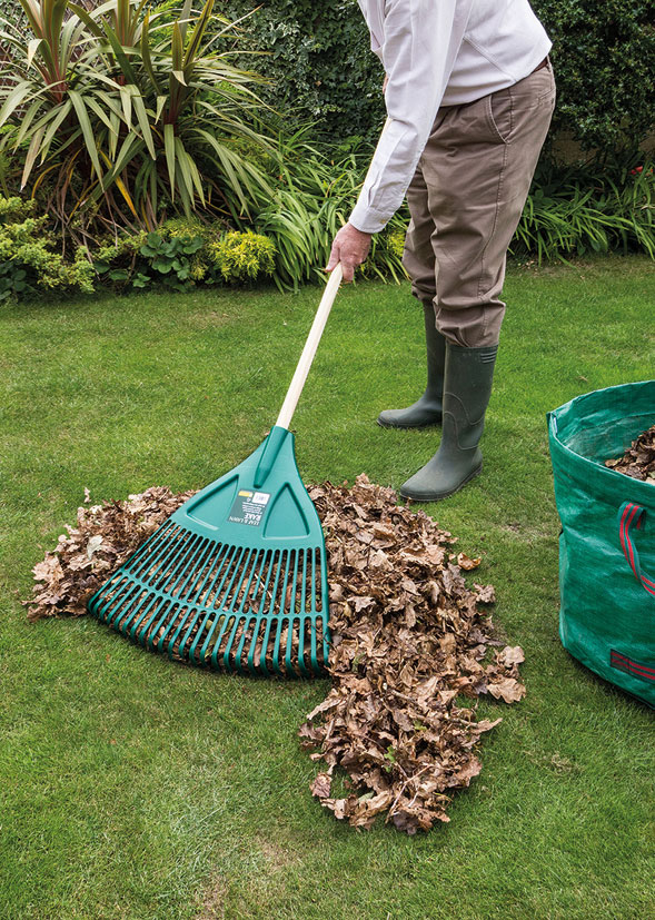 Leaf & Lawn Rake