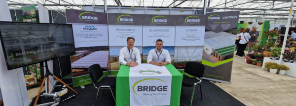 Bridge Banner