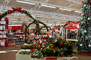 Christmas department opens at Haskins Garden Centres 