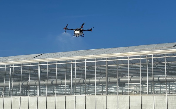 Drone Shot