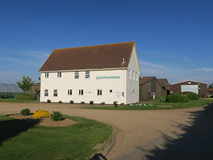 Front of the Kings Seeds Building