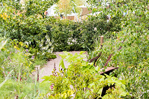 Frances Tophill Show Garden Gounded in Sustainability with GravelGaurd - photo by Tim Howell