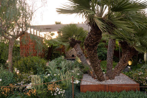 Kate Gould’s Gold Medal ‘Out of the Shadows’ RHS Chelsea Flower Show garden