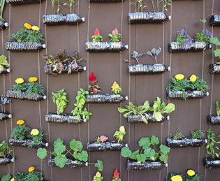 Gardening has been proven to help beat depression