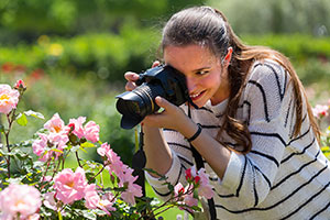 Haskins encourages gardeners to share photos of their best rose on social media 