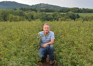 Ray Jenkins from Wyevale Nurseries