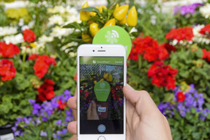 SmartPlant app on phone