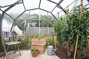 Vintage V&N semi dodecagon interior greenhouse