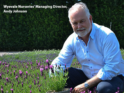 2024 gca Ruxley rose Award sponsored by Wyevale Nurseries, Managing Director Andy John