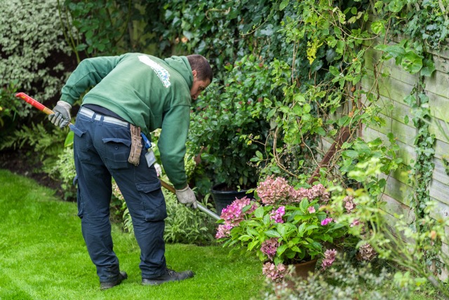 Preparing garden