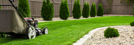 Beautiful garden - lawnmower cutting grass