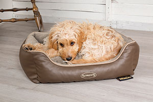 Scruffs® Offer Memory Foam Dog Bed in October Giveaway