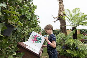 Boy exploring book at RHS Flower Show at Tatton Park 2017