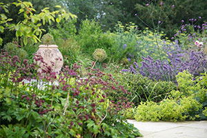 Adam Frost - Norfolk Garden - garden design