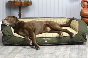 Dog bed - Garden Trade Shows 2019