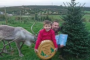 Christmas tree shield