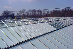 New Century Glasshouses - large glasshouse roof