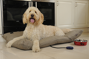 Hot dog pet products - heated dog beds