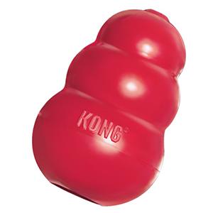 Kong dog toy