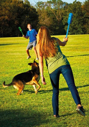 Dog playing with Chuckit! Tennis Ball