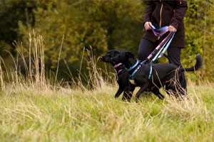 Master winter walkies