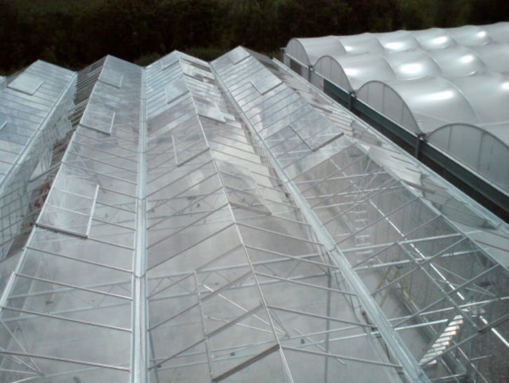 New Century Glasshouses