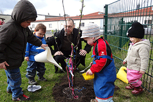  gardening 