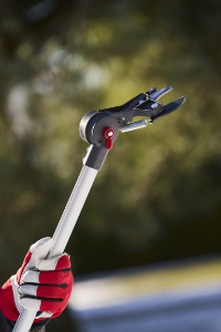 Felco pole pruner