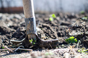 gardening