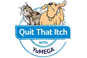 Itch campaign