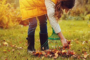 raking garden in the winter