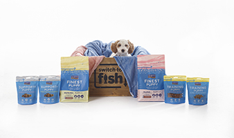 studio cockapoo puppy luna - with Fish4Dogs puppy range pet supplies