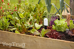 VegTrug Limited Announce Launch Of Grow Care Range