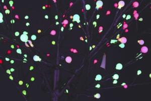 Multi coloured blossom lights