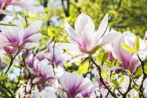 Research Reveals The Best UK Cities To Be A Gardener