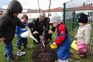 Gardening