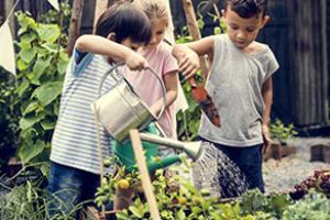 Children gardening