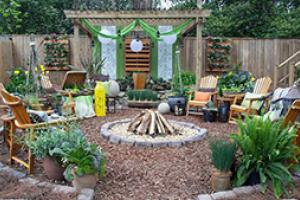 Creating a Mediterranean Oasis in your backyard: exotic plant/tree caring tips