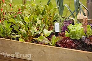 VegTrug Grow Care Range