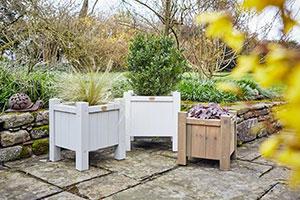 Plant in Posh Planters this Spring