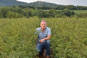 Ray Jenkins from Wyevale Nurseries