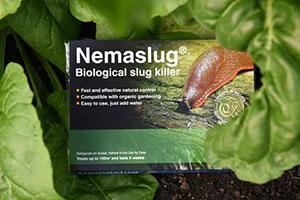 BASF Nemaslug control solution