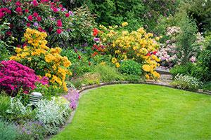 five handy tips for your spring garden