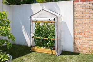 VegTrug Tomato Greenhouse