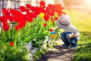 Little boy watering plants in Haskins Garden Centre after taking part in the colouring competition