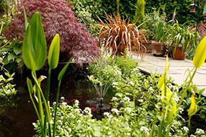 Blagdon Pond Fountain How To Video