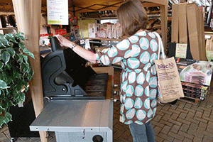 Woman shopping for BBQS and houseplants 