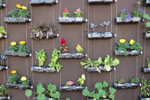 Gardening has been proven to help beat depression